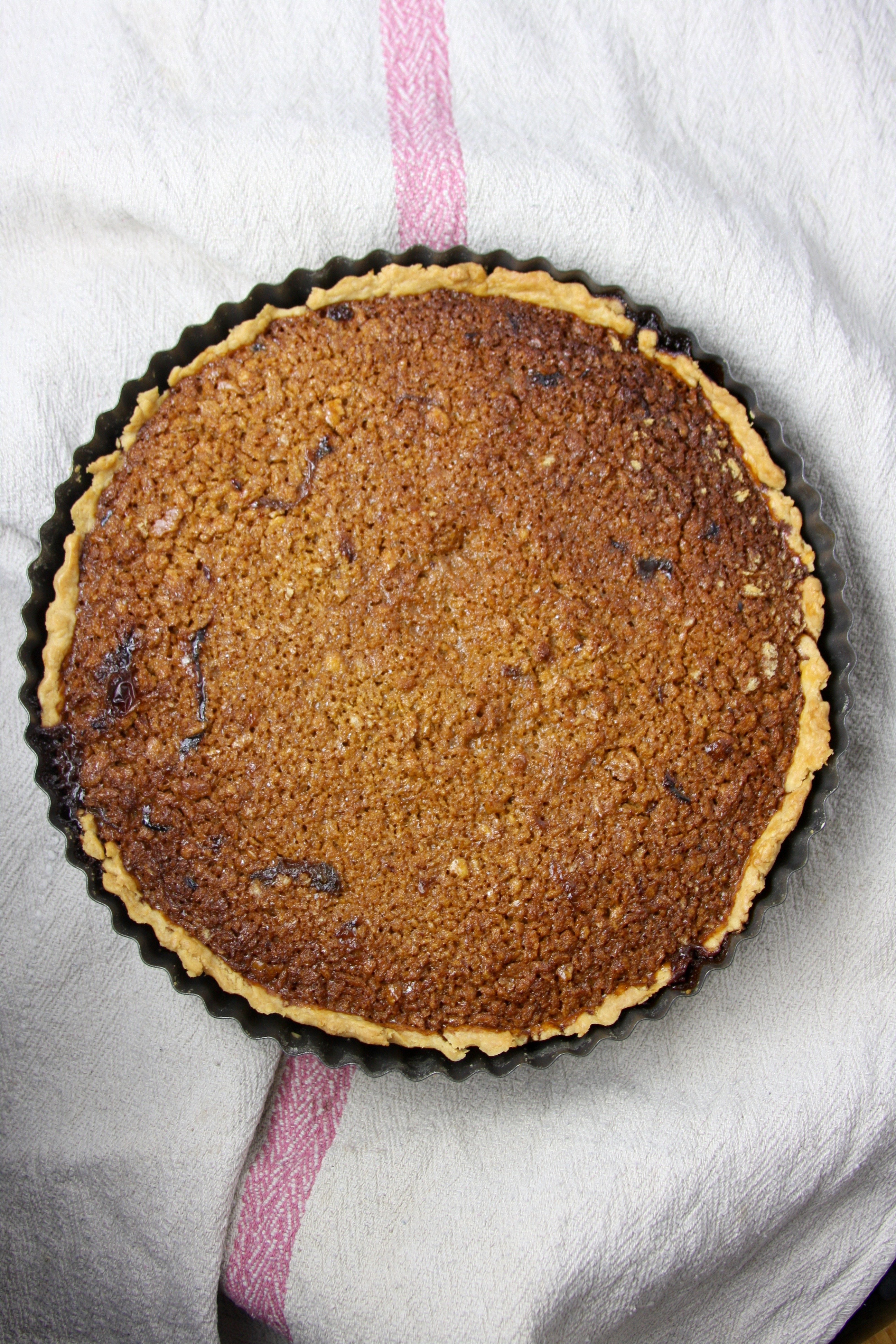 A Treacly Tart - GERTRUDE + SPICE